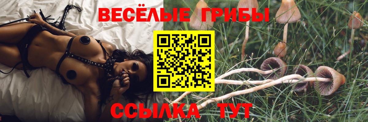 Псилоцибиновые грибы прущие грибы  Галлюциногенные грибы мицелий  Зеленодольск  Вход с VPN 
